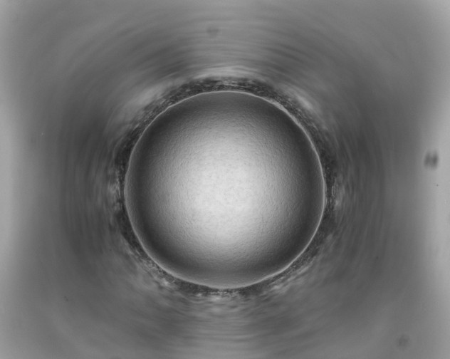 X0000092001062200709131510