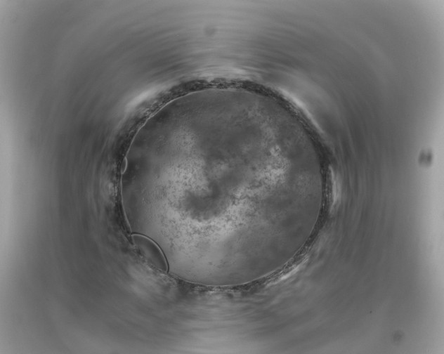 X0000092001063200709131510