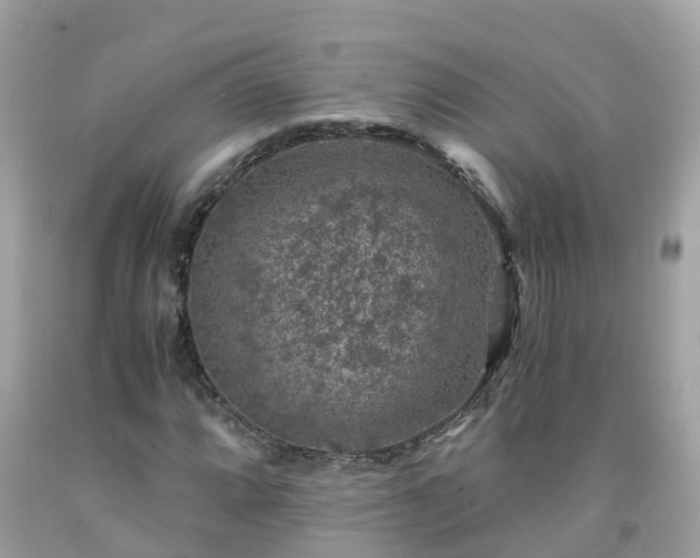 X0000092001064200709131510