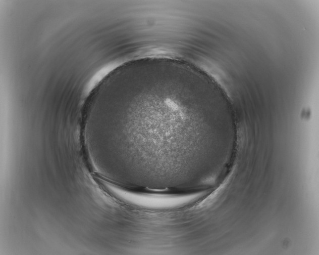 X0000092001066200709131510