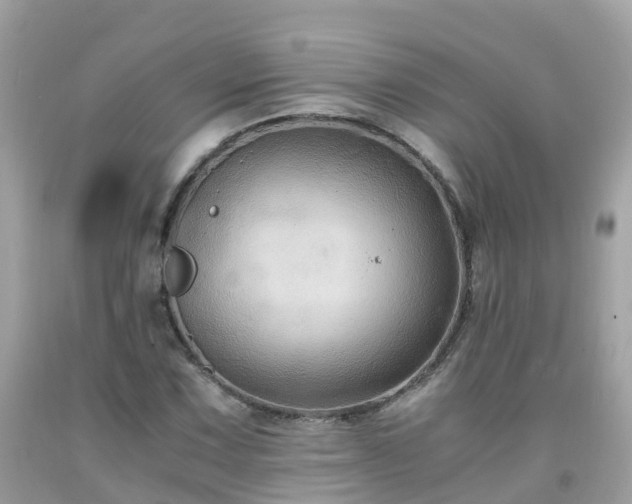 X0000092001067200709131510