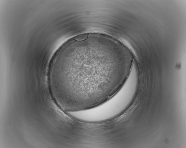 X0000092001068200709131510