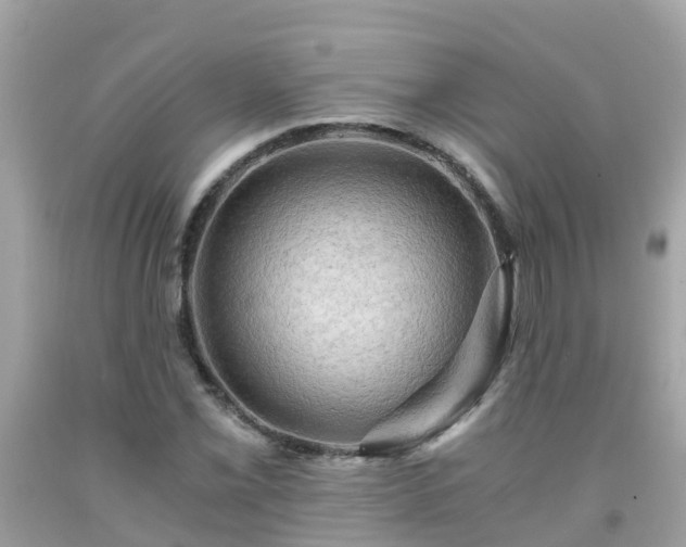 X0000092001069200709131510