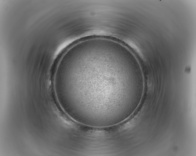 X0000092001070200709131510