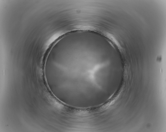 X0000092001071200709131510