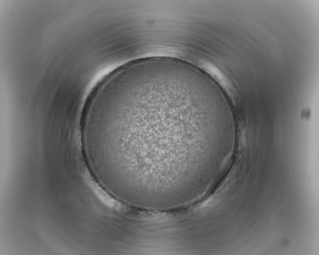 X0000092001072200709131510