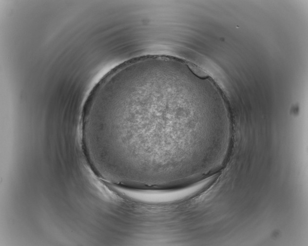 X0000092001076200709131510