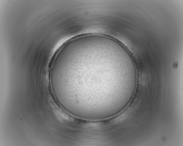 X0000092001078200709131509