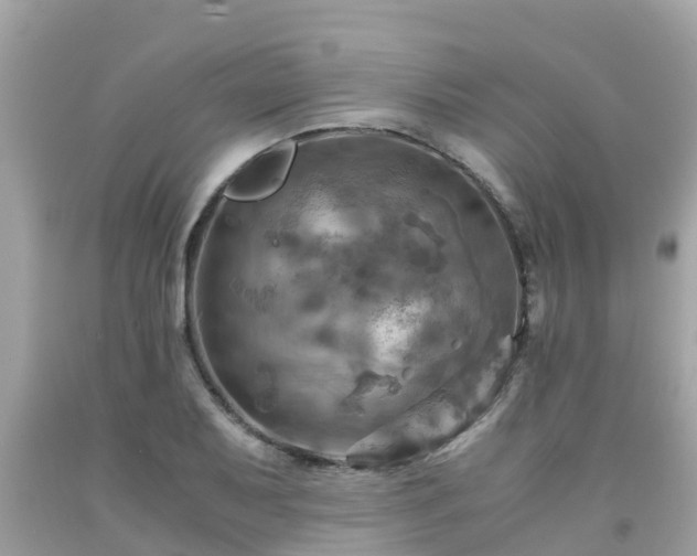 X0000092001079200709131509