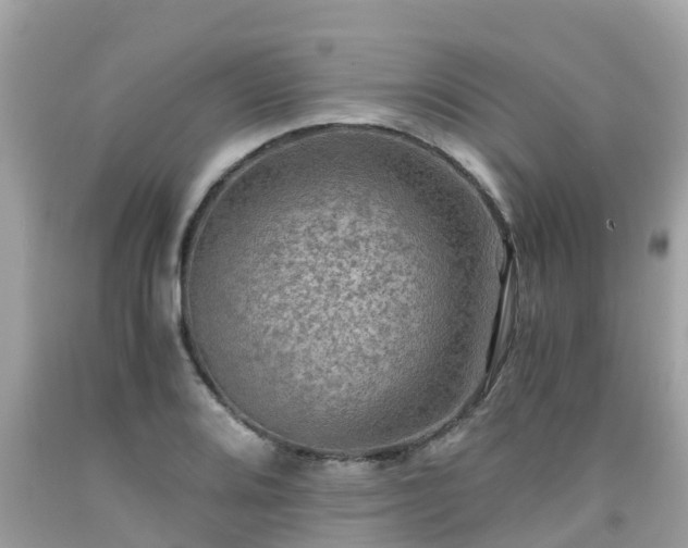 X0000092001080200709131509