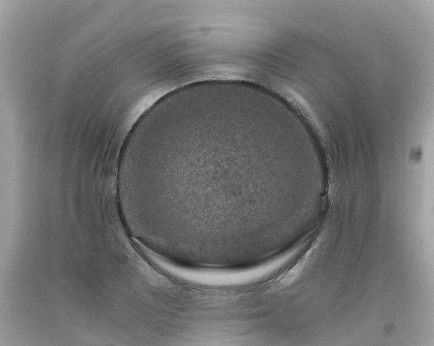 X0000092001081200709131509