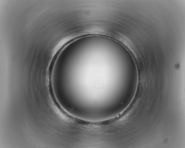 X0000092001082200709131509