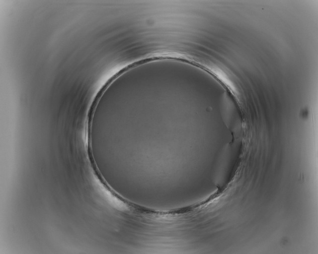 X0000092001084200709131509