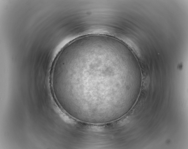 X0000092001086200709131509