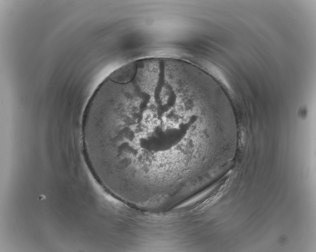 X0000092001087200709131509