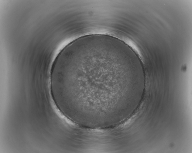 X0000092001088200709131509