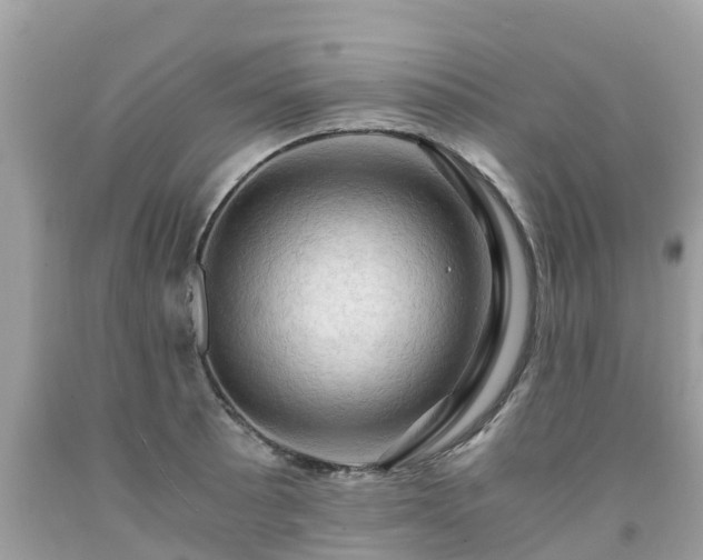 X0000092001089200709131509