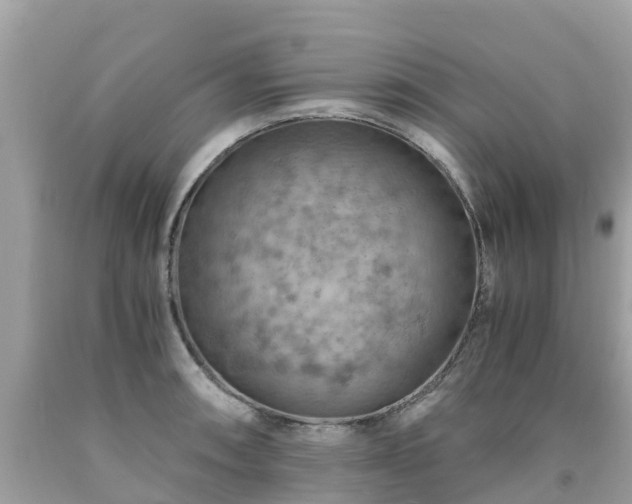 X0000092001090200709131509