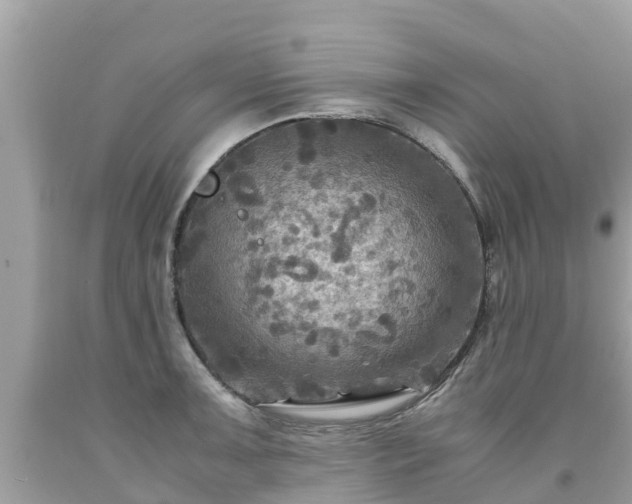 X0000092001091200709131509