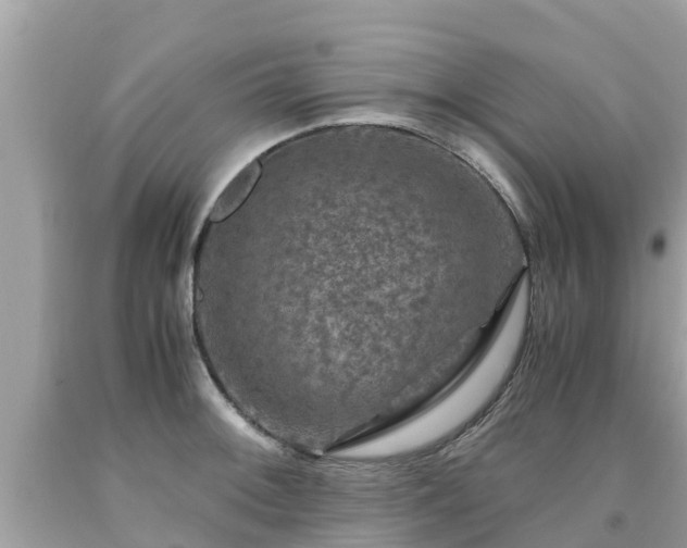 X0000092001092200709131509