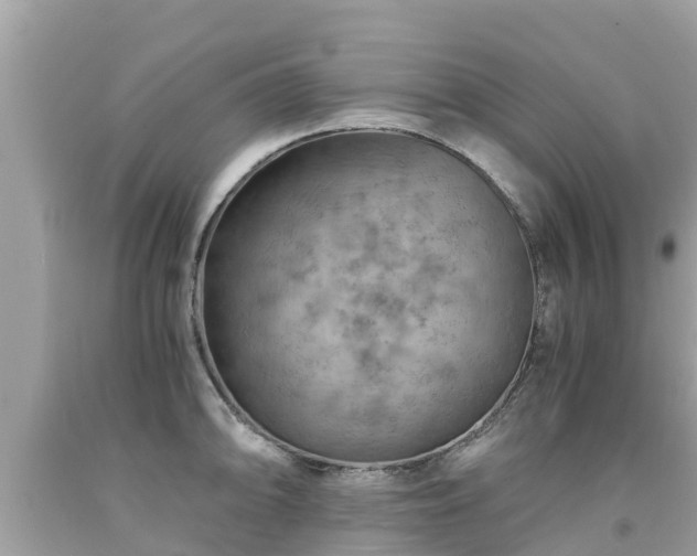 X0000092001094200709131509