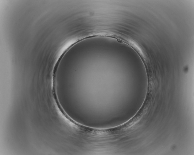 X0000092001095200709131509