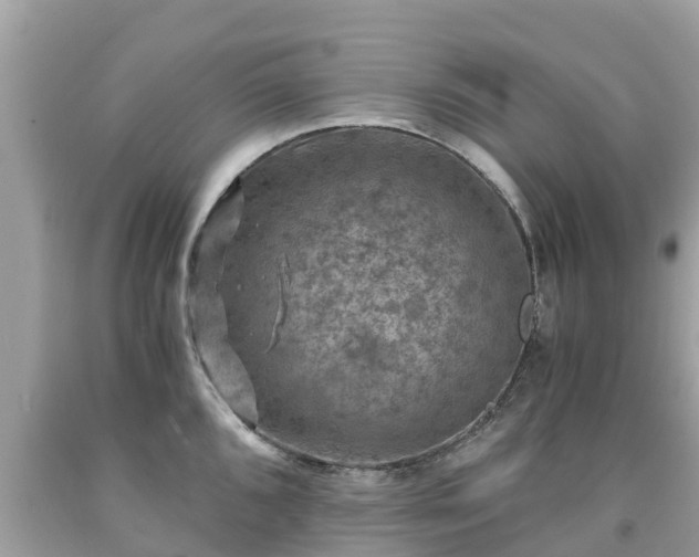 X0000092001096200709131509