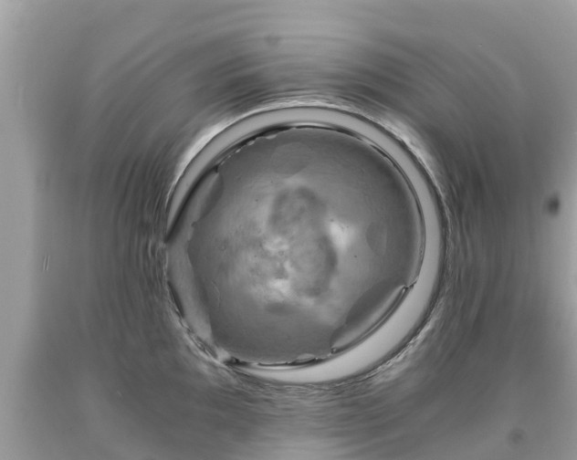 X0000092001097200709131509