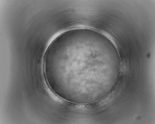 X0000092001098200709131509