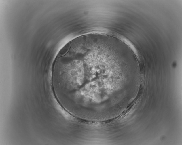 X0000092001099200709131509