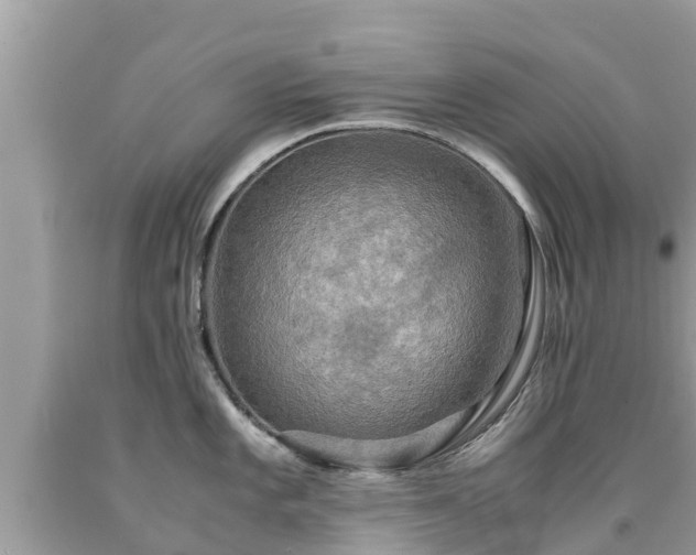 X0000092001101200709131509