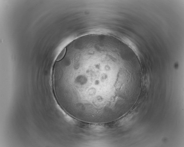 X0000092001103200709131509