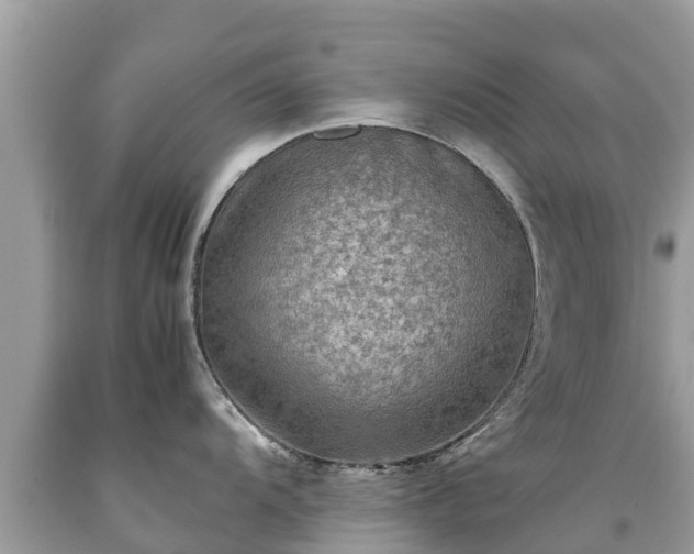 X0000092001104200709131509