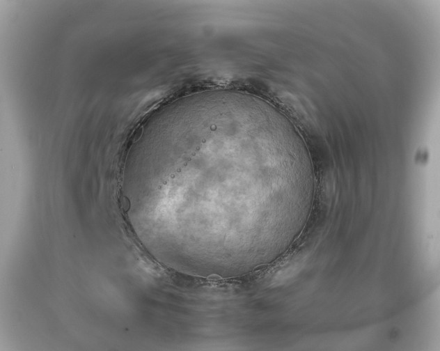 X0000092001105200709131509