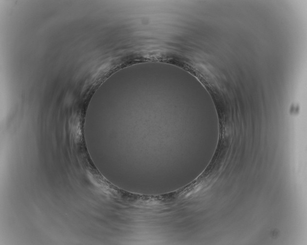 X0000092001106200709131509