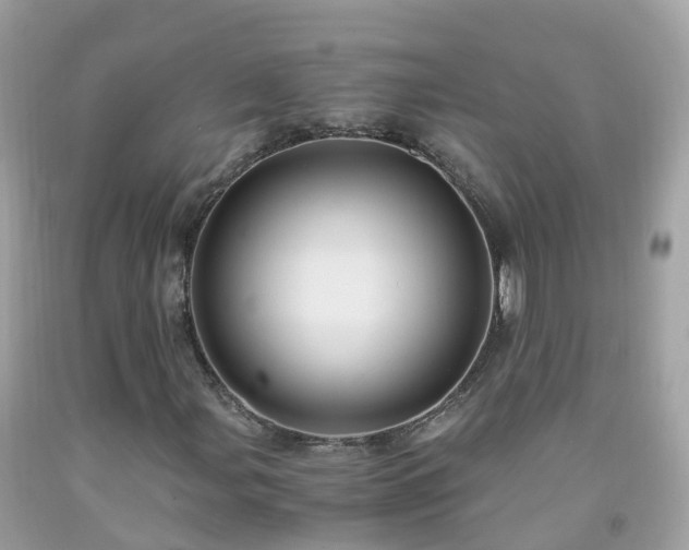 X0000092001107200709131509