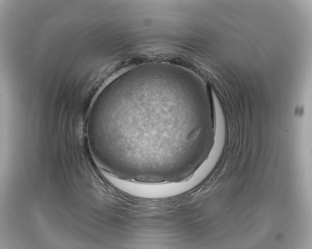 X0000092001108200709131509