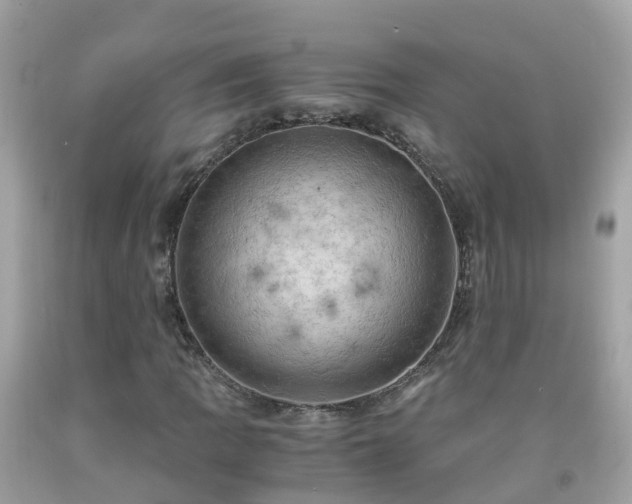 X0000092001109200709131509