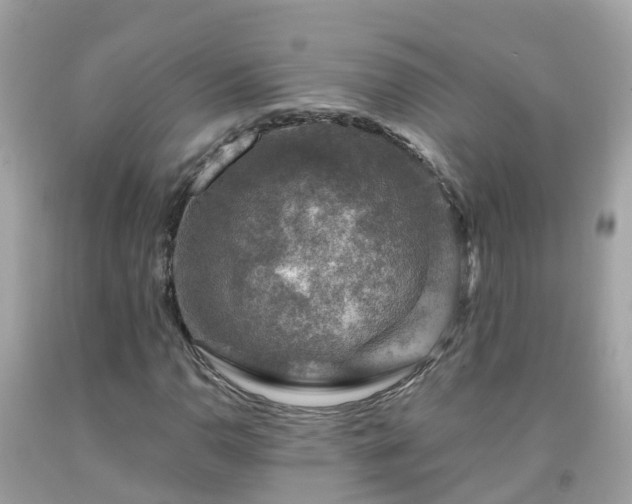 X0000092001110200709131509