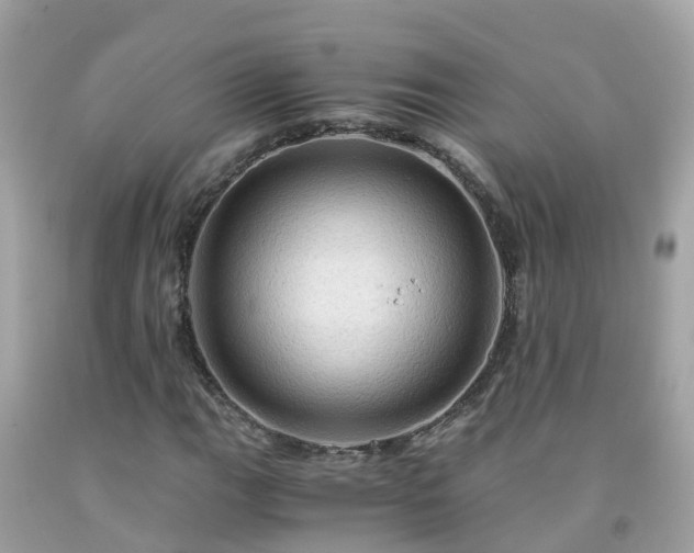 X0000092001111200709131509