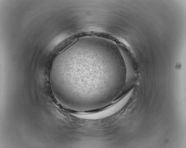 X0000092001112200709131509