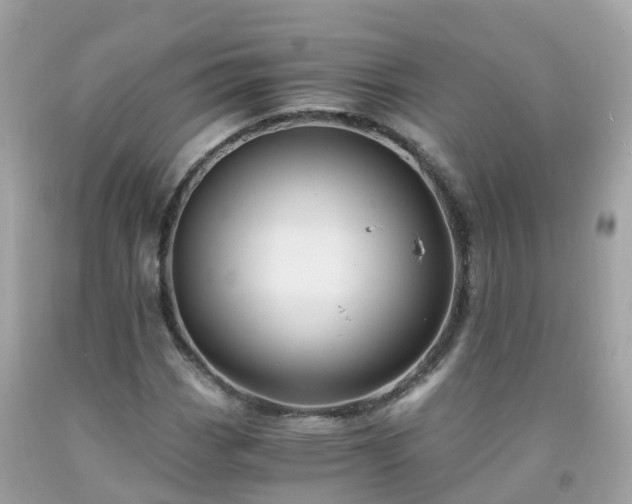 X0000092001113200709131509