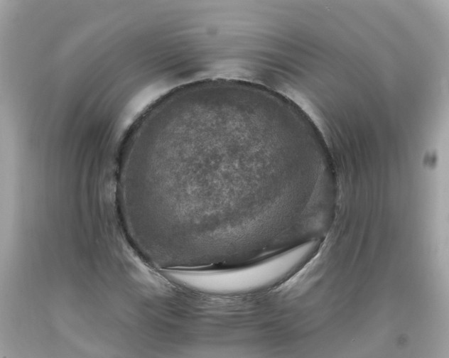 X0000092001115200709131509