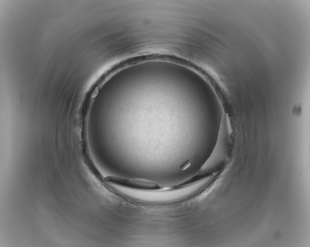 X0000092001118200709131509