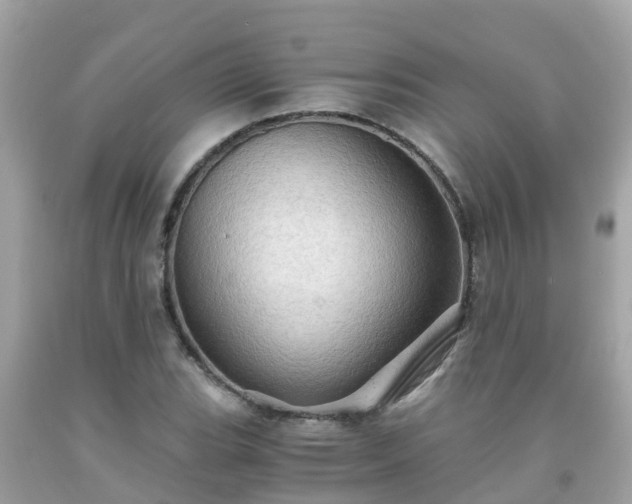 X0000092001119200709131509