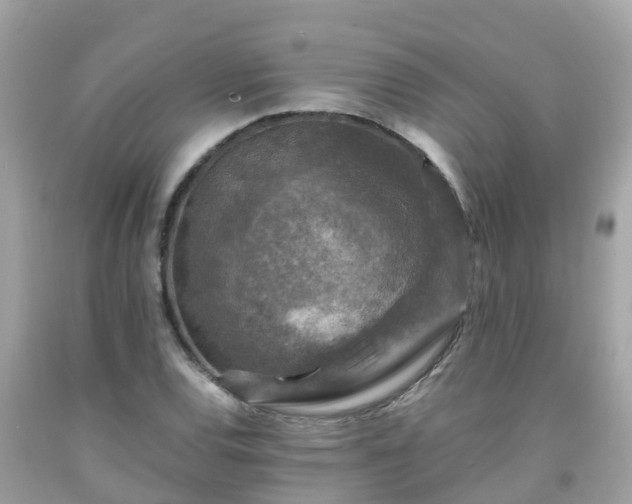 X0000092001120200709131509