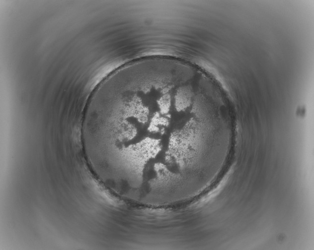 X0000092001121200709131509