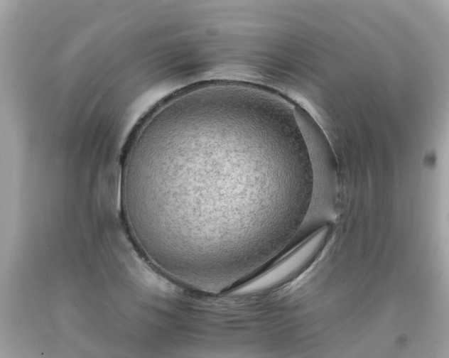 X0000092001123200709131509