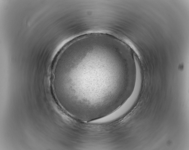 X0000092001124200709131509