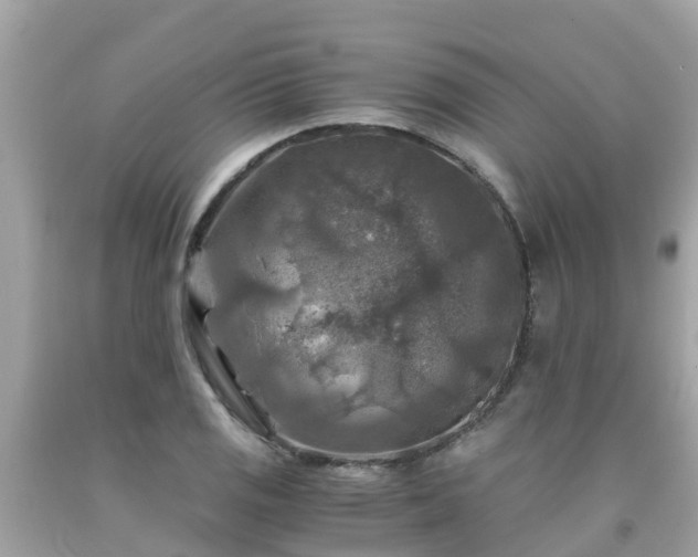 X0000092001125200709131509